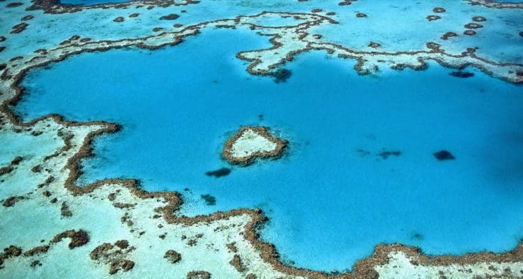 Our top 5 aussie proposal locations – queensland